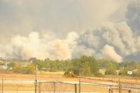 Bastrop Fire