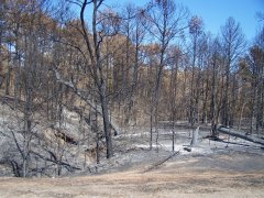 Bastrop Wildfire as seen 9/23/2011