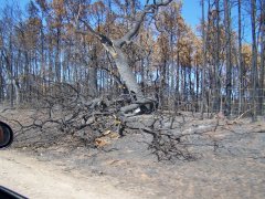 Bastrop Wildfire as seen 9/23/2011