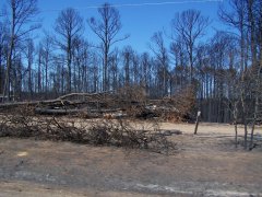 Bastrop Wildfire as seen 9/23/2011