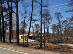 Bastrop Wildfire as seen 9/23/2011